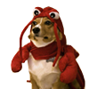 A dog lobster